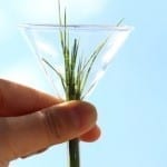 5 RAGIONI PER CUI IL VETRO SARÀ UNO DEI TUOI AMICI PIÙ SOSTENIBILI 5 RAGIONI PER CUI IL VETRO SARÀ UNO DEI TUOI AMICI PIÙ SOSTENIBILI