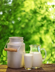 Glass and Milk – the Perfect Partnership Glass and Milk – the Perfect Partnership